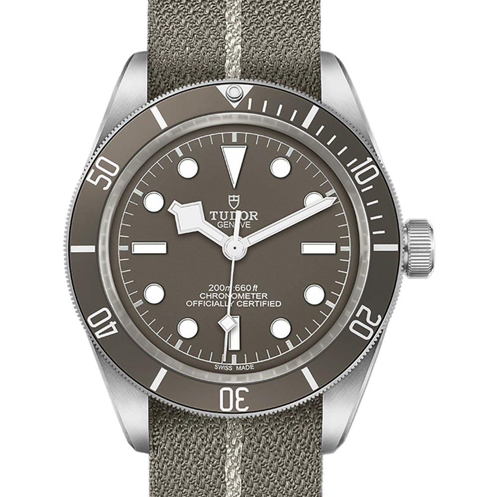 Tudor Black Bay 58 925, 39mm silver case, taupe dial