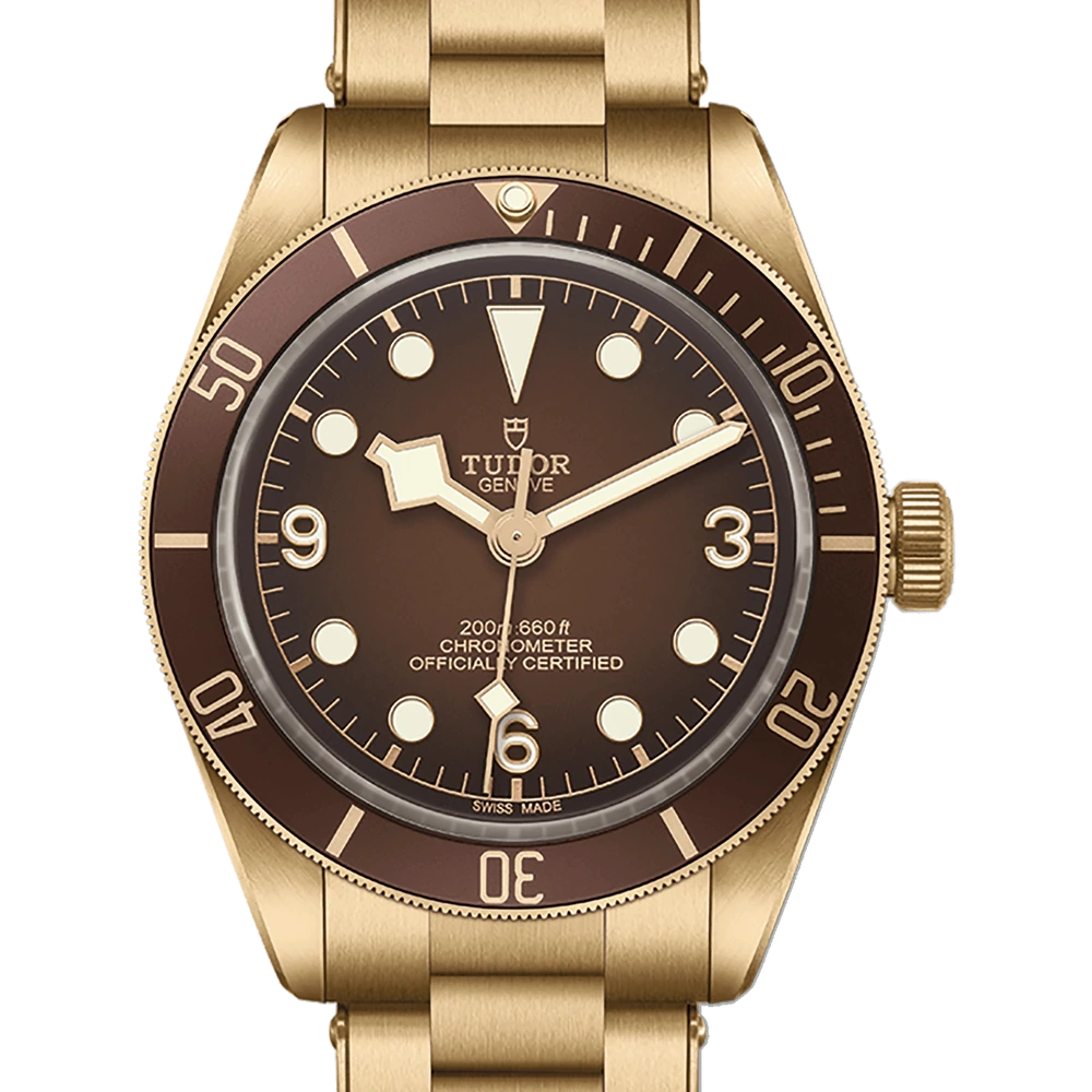 Tudor Black Bay 58 Bronze, 39mm bronze case, gradient matt “brown-bronze” dial