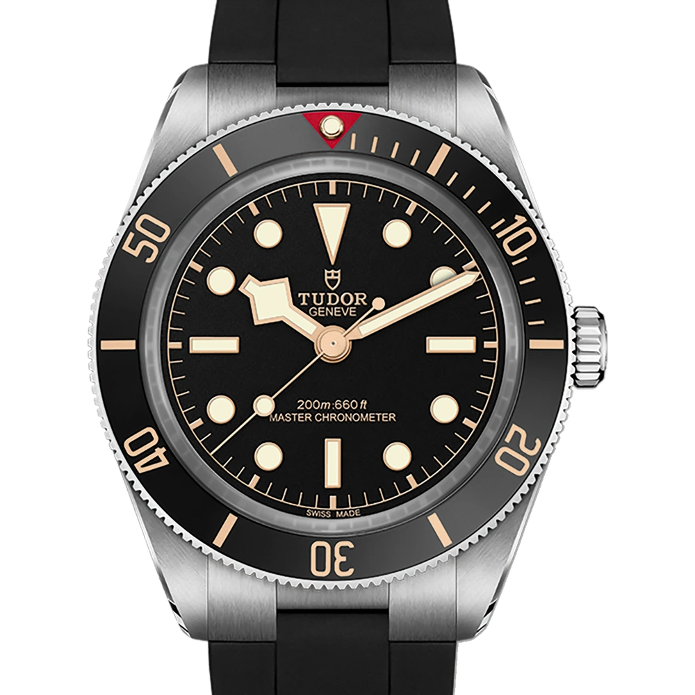 Tudor Black Bay 58, 39mm steel case, rubber strap, matt black dial