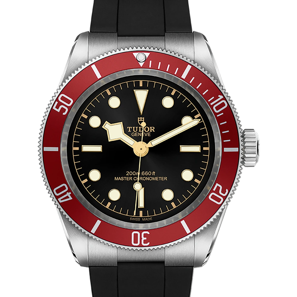 Tudor Black Bay, 41mm steel case, black rubber strap, black dial
